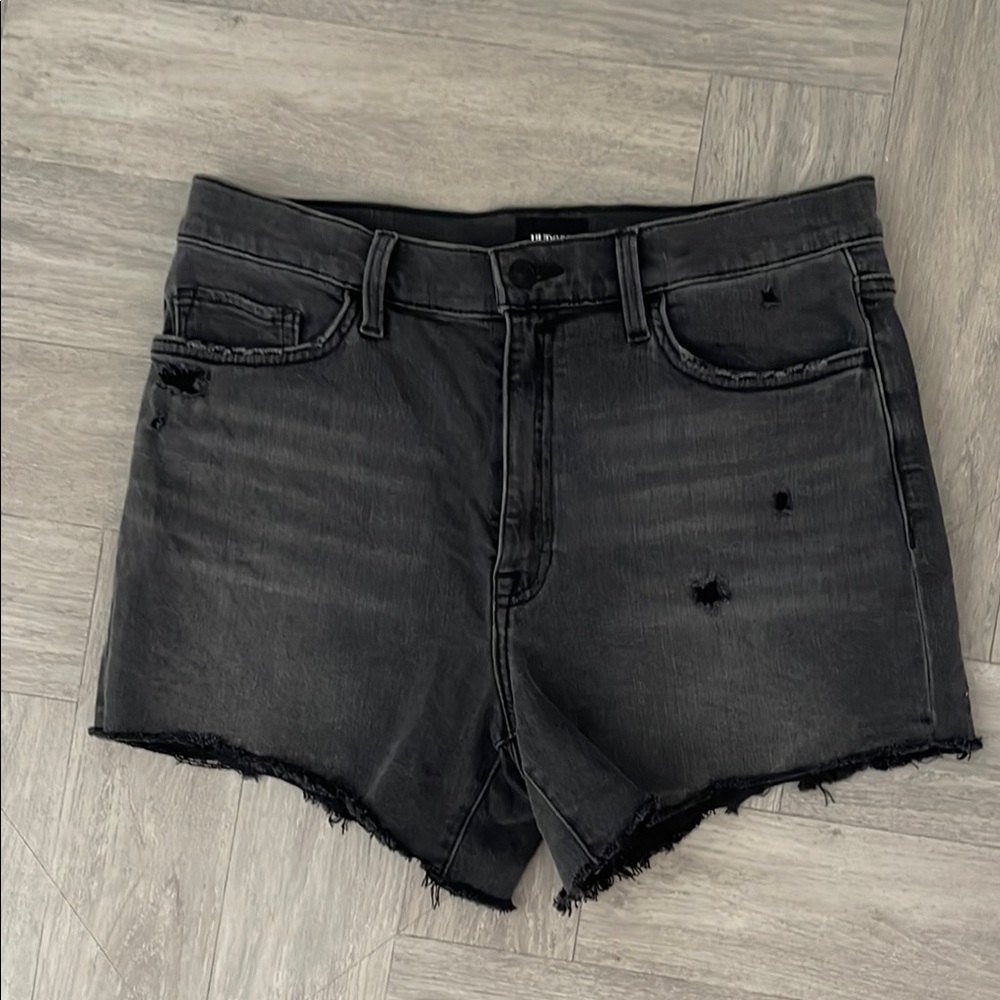 Black Distressed Hudson Kass Denim Shorts